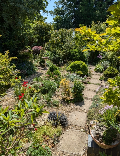 Lynton Avenue Gardens
